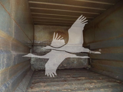 Back of a truck bed with a white bird logo (seagull) overlapping the interior walls; no legible model text visible.