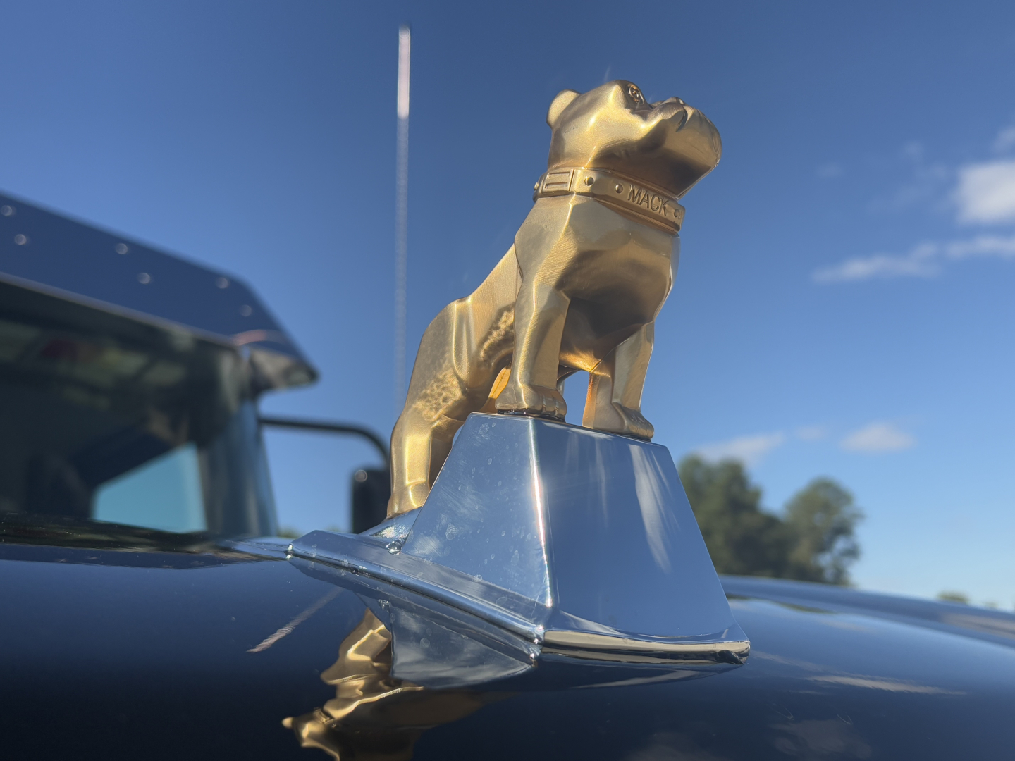 Gooseneck hood ornament on Mack truck in front, chrome figurine atop hood with blue paint.