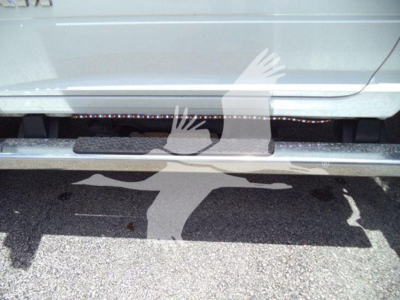 Ram truck side step and lower rocker panel with textured running board. Partial view of the vehicle door and reflection on ground.