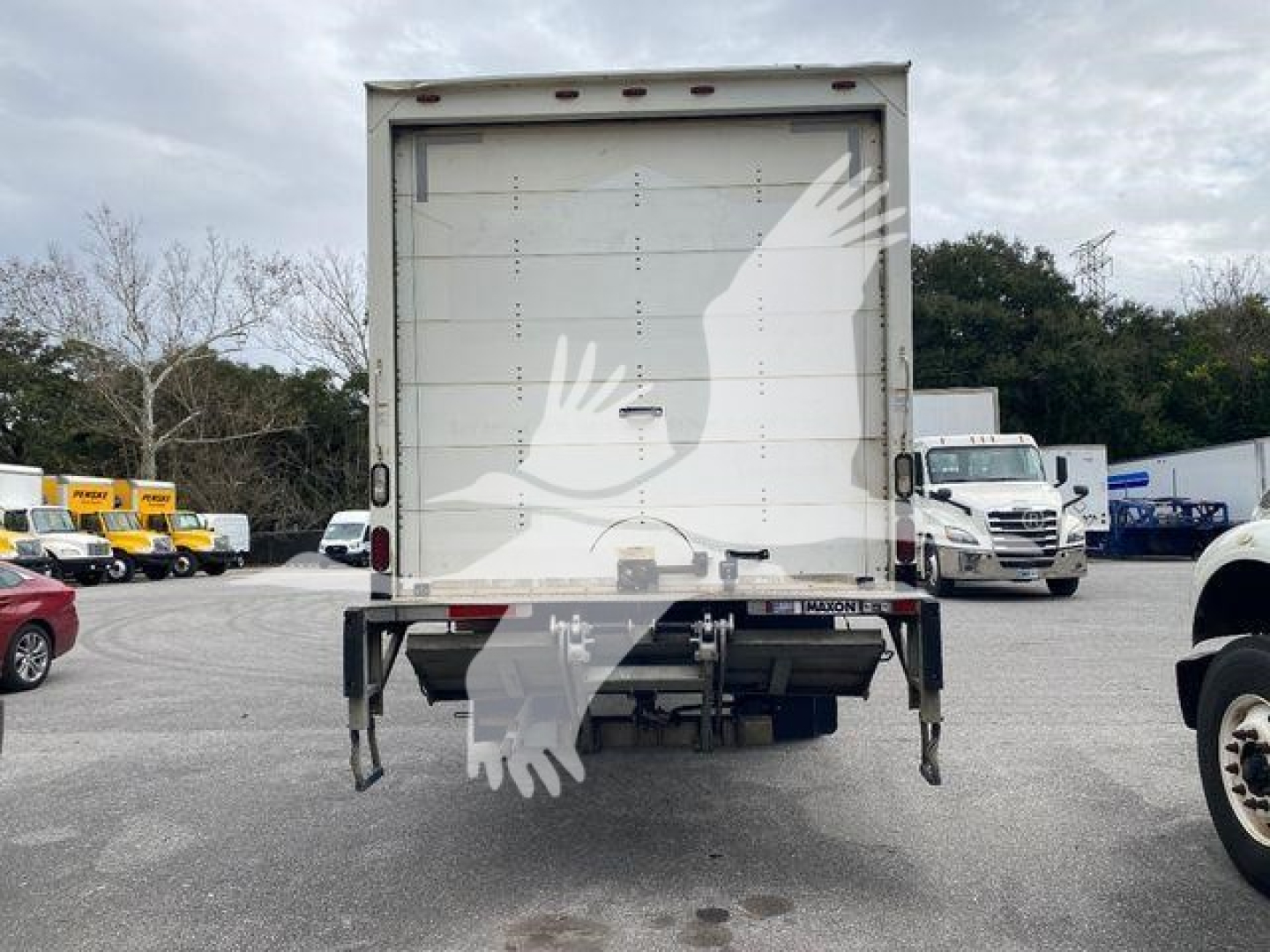 Isuzu box truck rear view showing cargo area with lift gates and taillights. Flatbed undercarriage, bumper, and two rear doors visible.