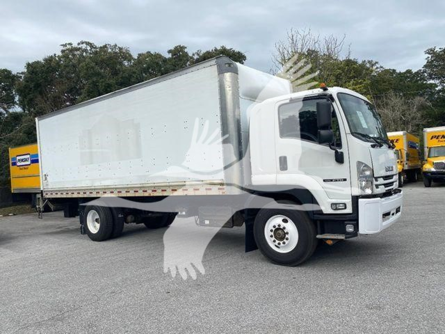 Isuzu FTR box truck in side view showing cargo box and cab with white and gray color.