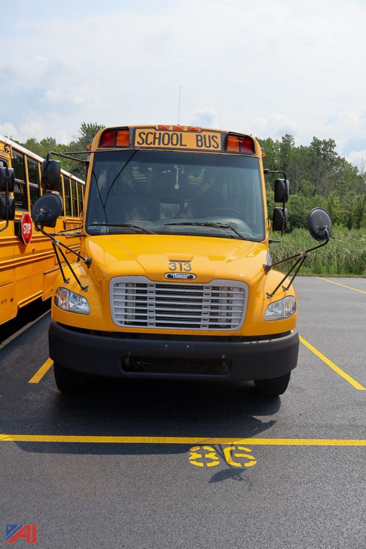 School bus front view showing 'SCHOOL BUS' sign on top, 313 fleet number on hood, yellow body and grille, two side mirrors.
