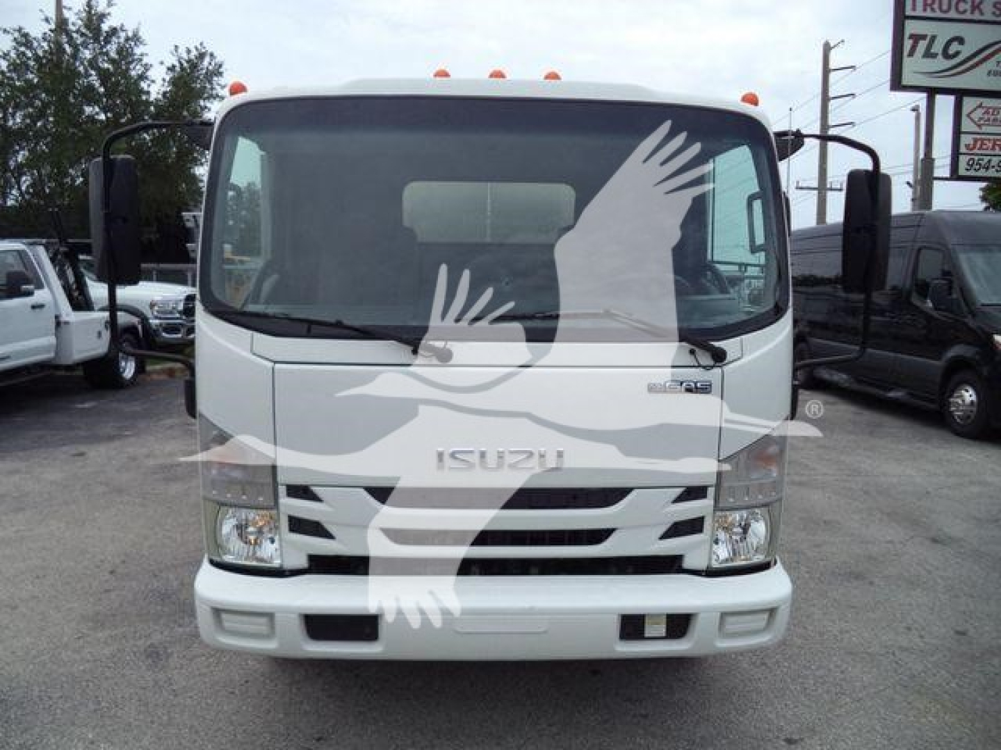 Isuzu NPR HD truck front view showing windshield, grille, bumper, and headlights.