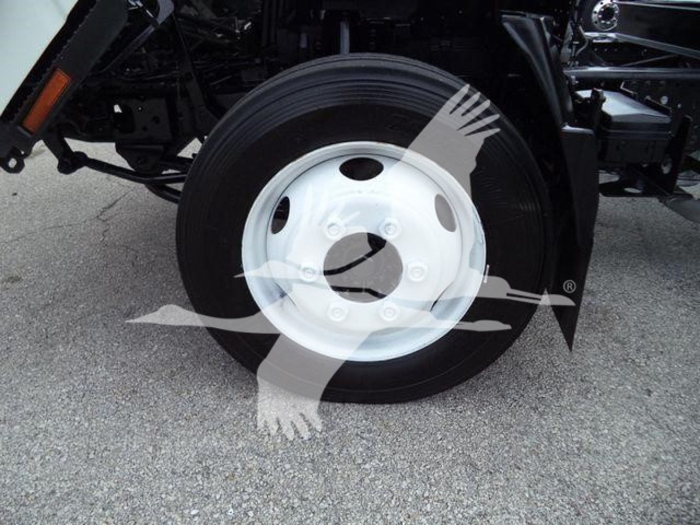 Isuzu NPR-HD truck front wheel showing a white steel wheel and tire, undercarriage components visible.