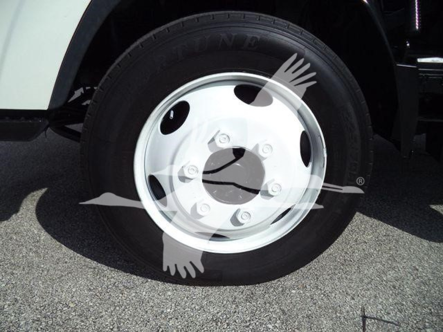 Isuzu NRR wheel and tire on front, white steel rim with lug nuts, part of box truck chassis visible