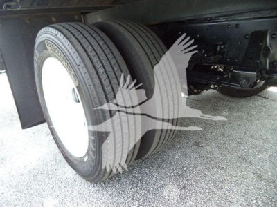 Isuzu NRR truck rear dual wheels showing tires and undercarriage