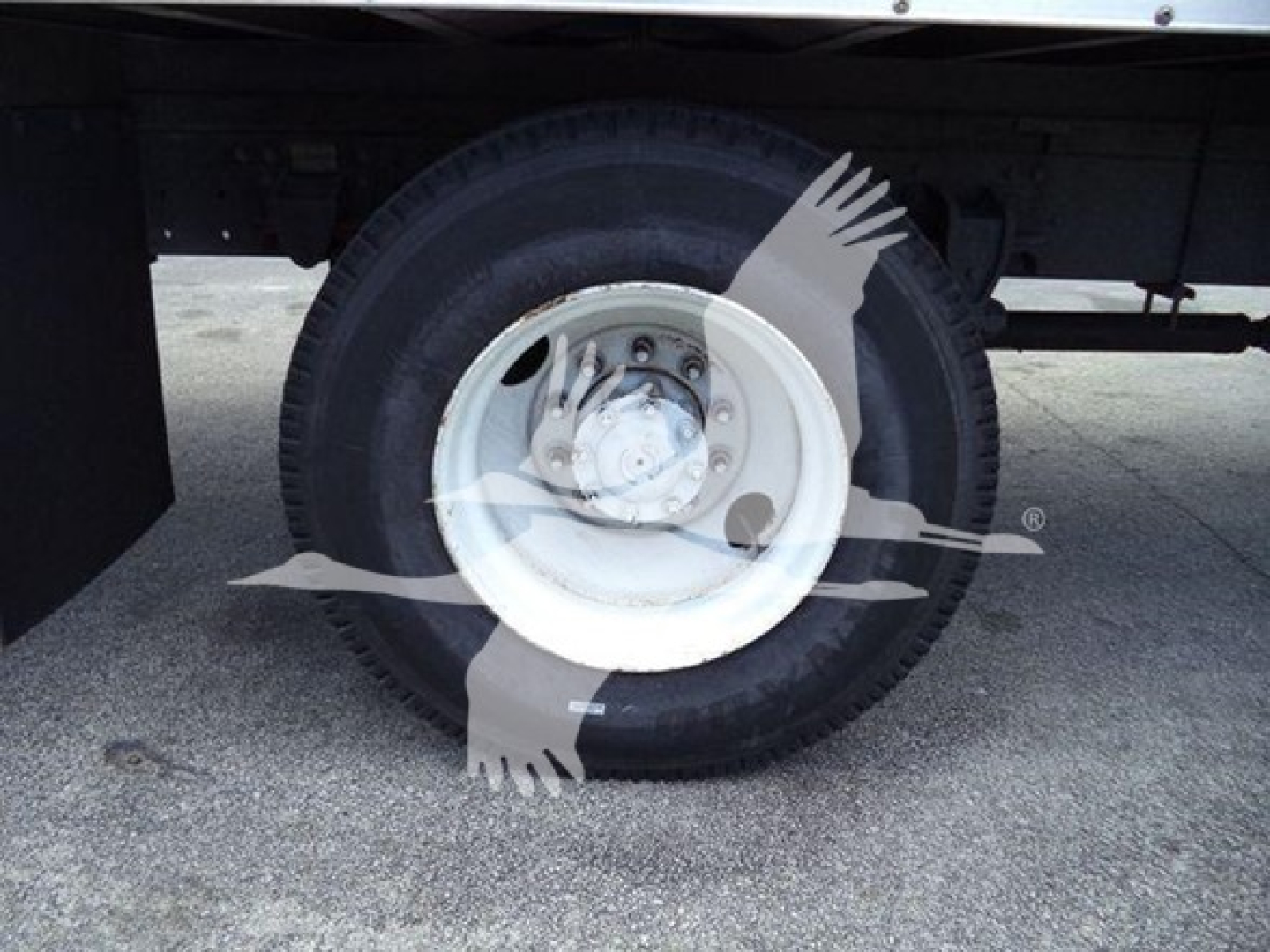 Wheel and tire of a 2019 Hino 268a refrigerated truck showing white steel wheel and black tire with hub cover.