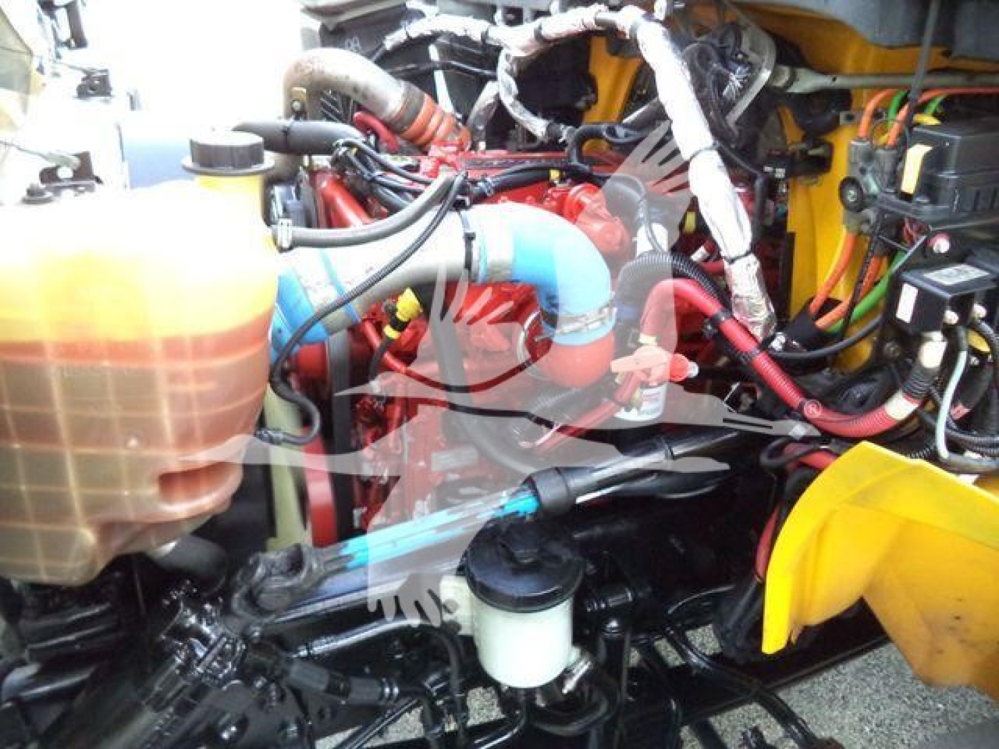 International Durastar 4300 engine bay showing coolant reservoir, red engine components, blue hoses, wiring, and yellow body panel.