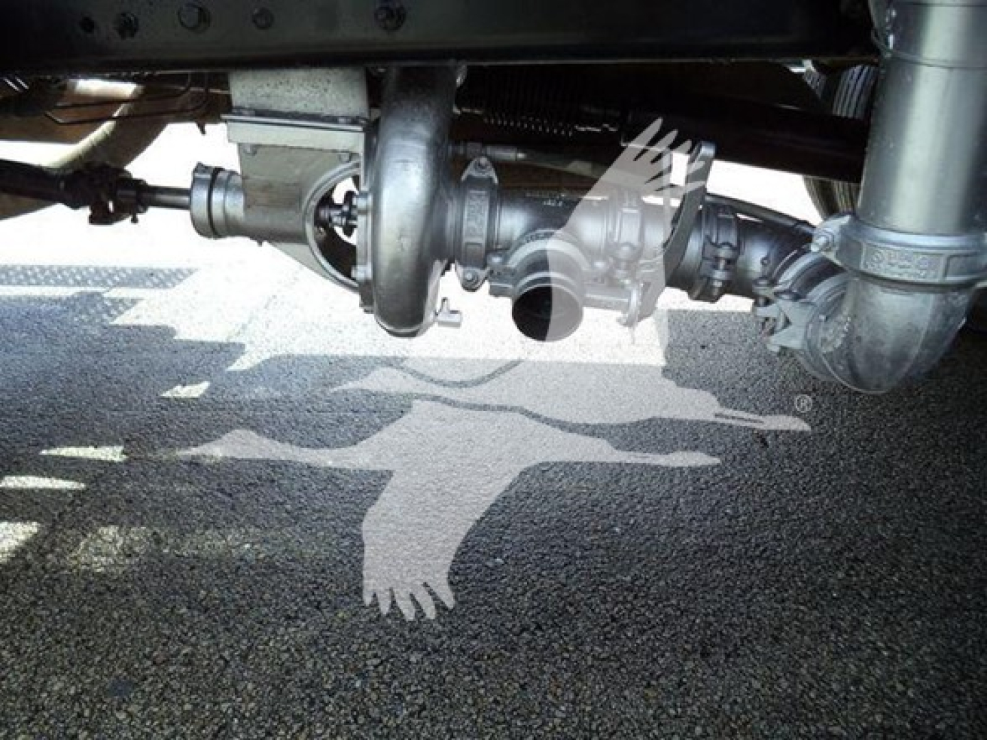 Under-vehicle view of a Ford F650 drivetrain showing exhaust pipes, turbocharger, and undercarriage components visible.