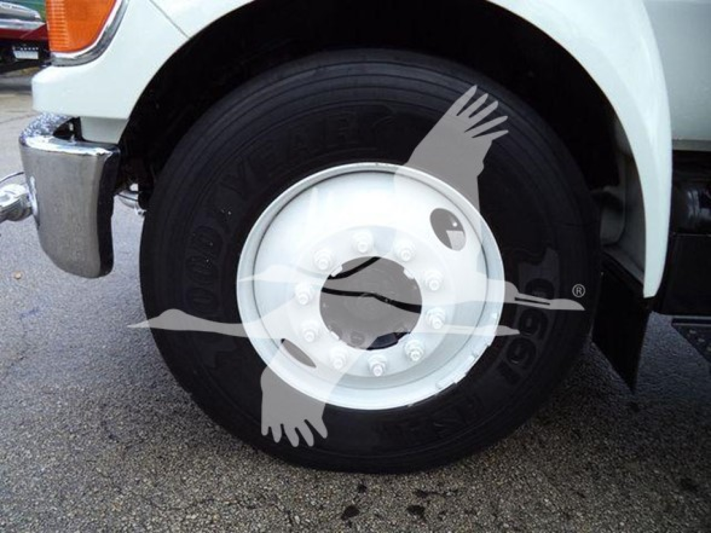 Truck front wheel and fender showing Goodyear tire and white steel wheel with lug nuts.