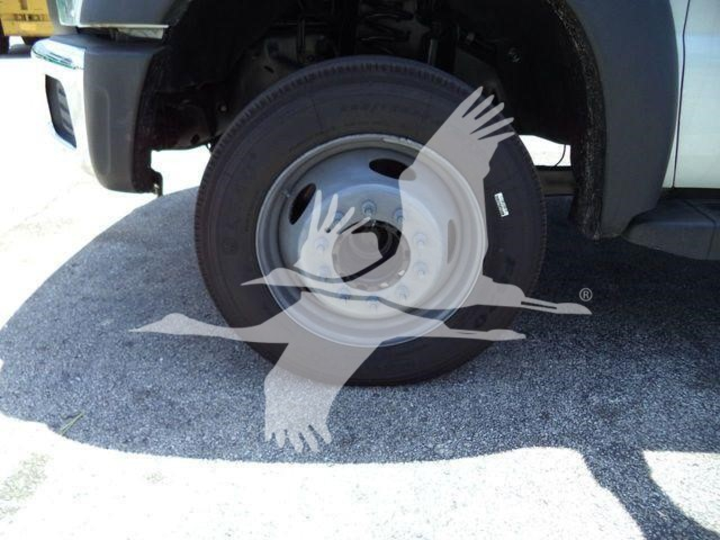 Wheel and front fender of a 2016 Ford F550 rolloff truck showing steel wheel and tire with partial body panel.