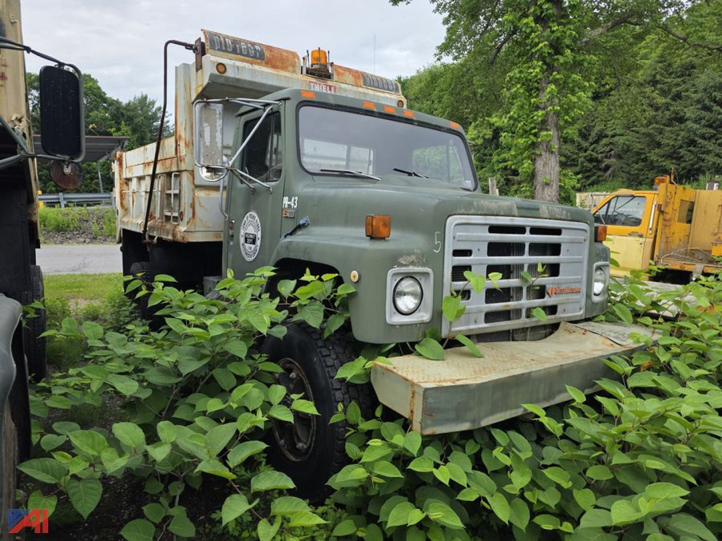 1989 International 1854 dump truck in overgrown lot with vegetation, front grille, cab, and dump bed visible.