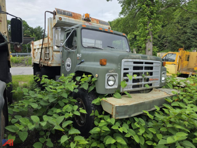 1989 International 1854 dump truck in overgrown lot with vegetation, front grille, cab, and dump bed visible.