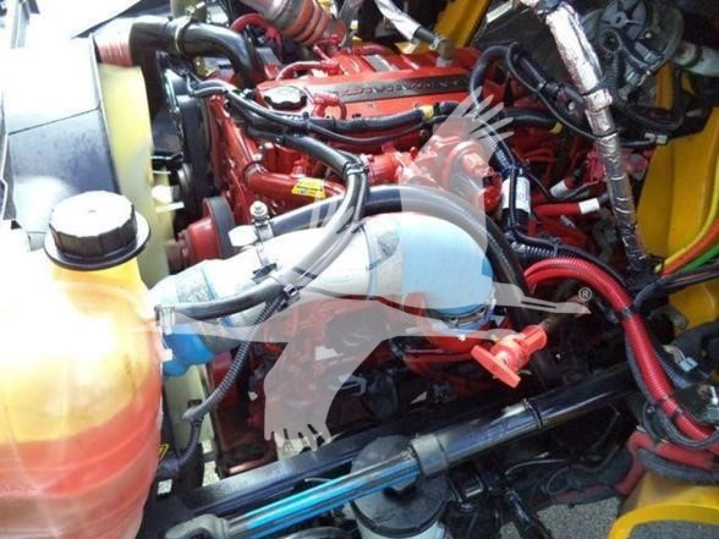 Engine bay of a 2019 International Durastar 4300 rollback truck showing a red engine, hoses, wiring, coolant reservoir, and surrounding components.