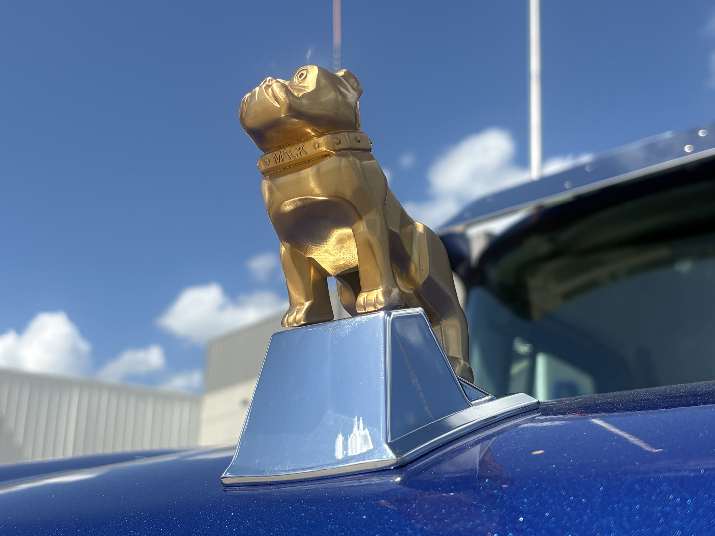 Mack PI64T truck hood ornament dog statue on blue truck with chrome base and clear sky background.