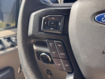 Ford F-150 steering wheel controls with OK button and cruise control pad visible.