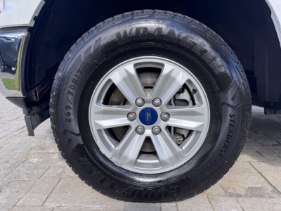 Ford F-150 wheel and tire with Goodyear Wrangler badge visible on the tire sidewall. Alloy wheel with Ford center cap and five lug nuts.