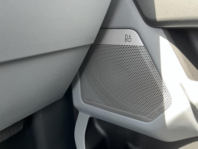 Front door speaker grill on a Ford F-350 interior showing a perforated speaker cover with B&O branding.