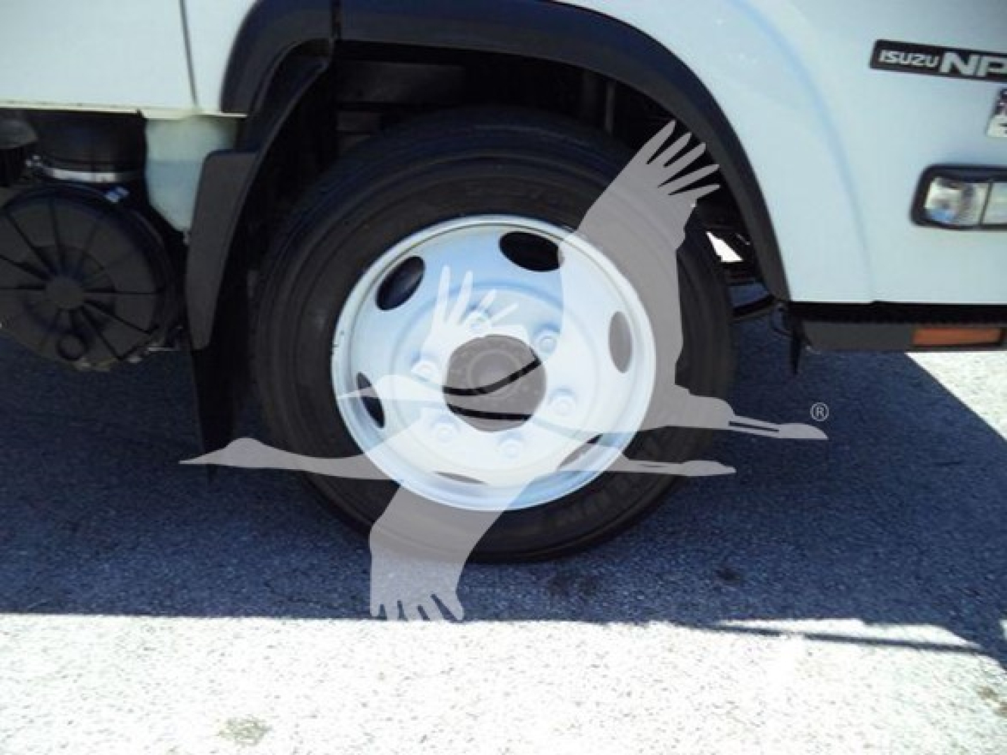 Isuzu NPR HD dump truck front wheel and fender area showing white wheel with partial body decal and Isuzu logo