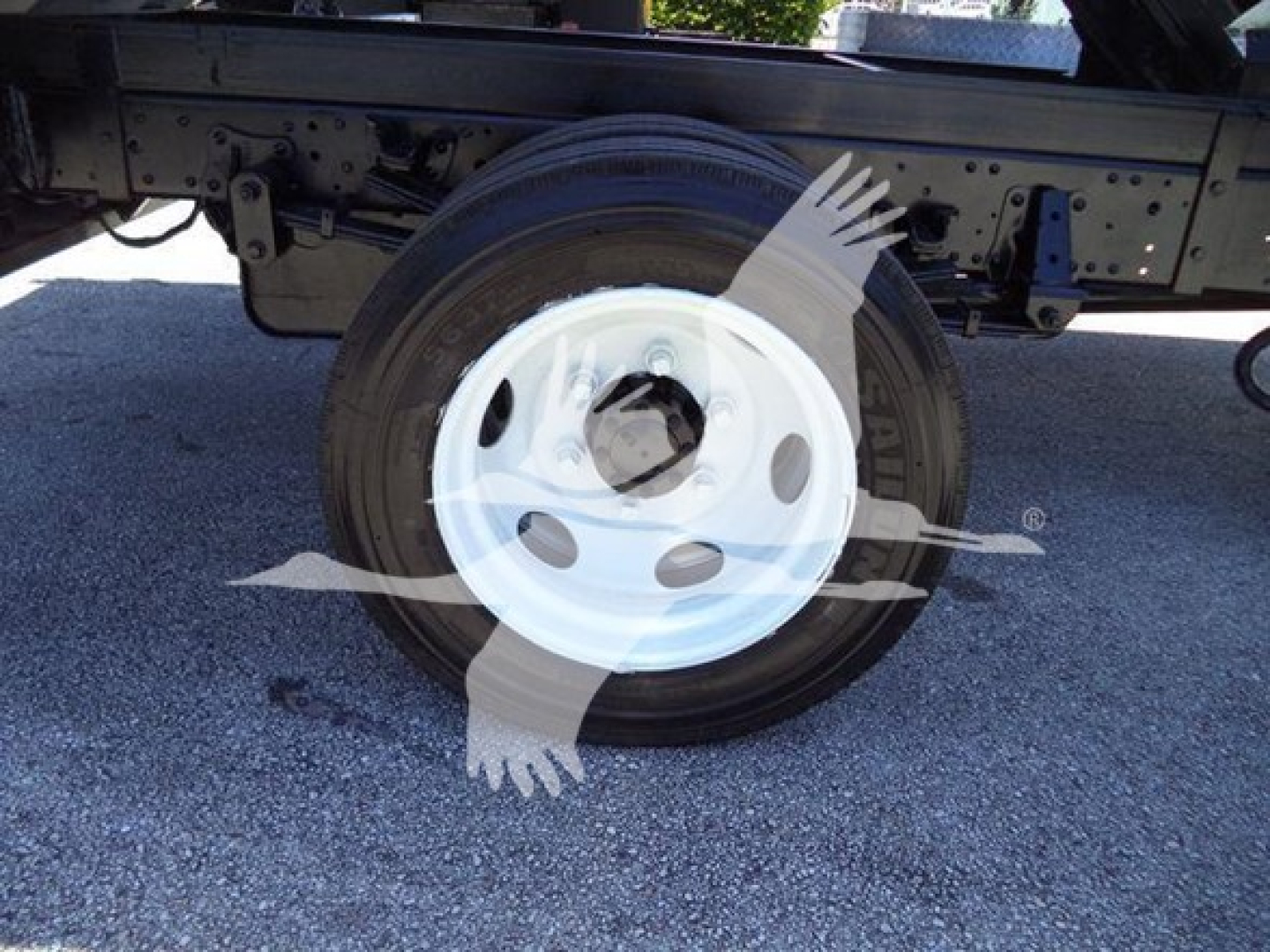 Isuzu NPR-HD truck wheel and underside view showing white steel wheel and tire with chassis components above.