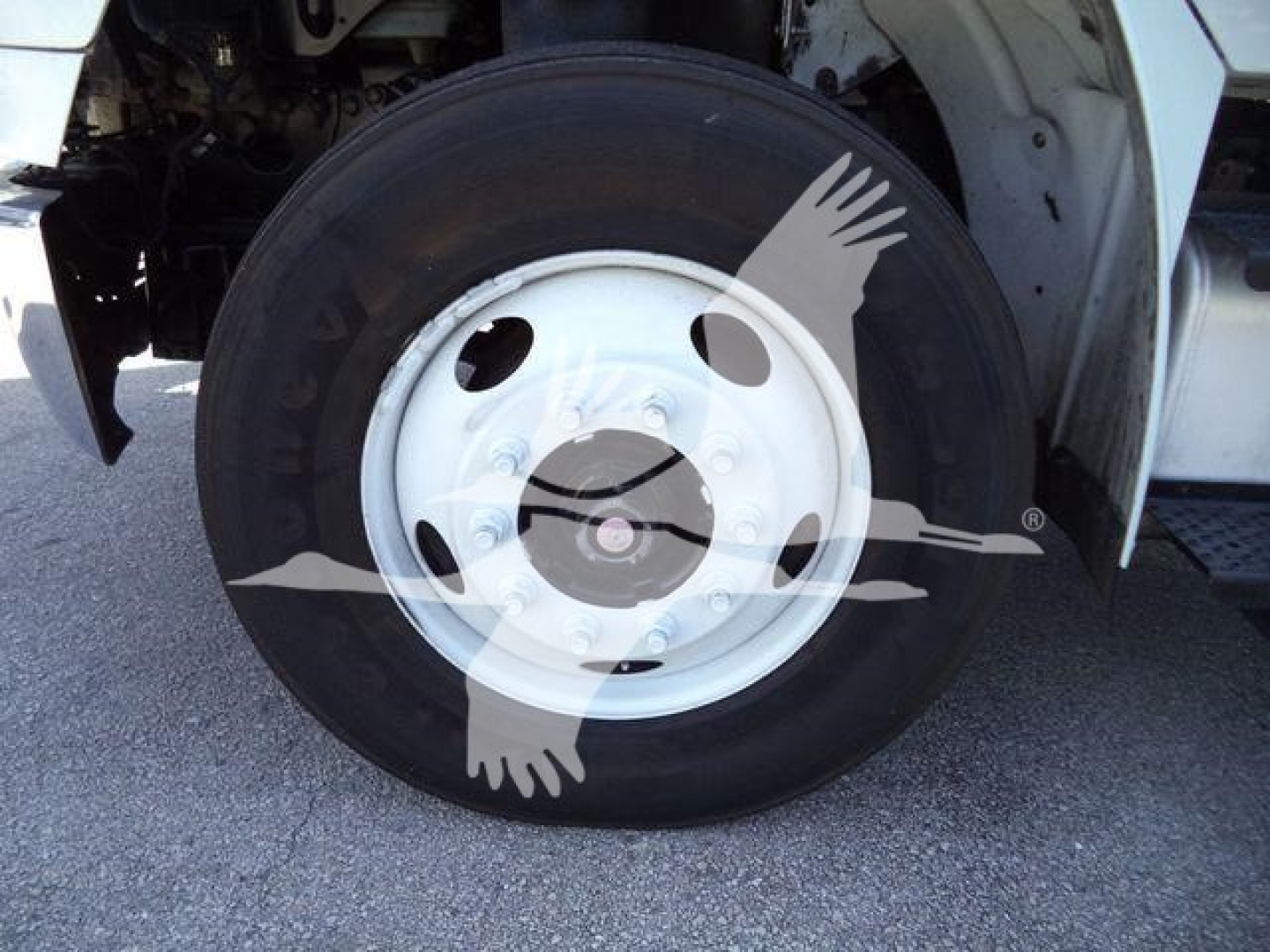 Wheel and tire on Freightliner M2 106 front, white steel rim with hub and lug nut pattern visible.