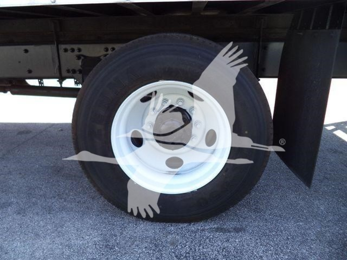 Wheel and tire of a Freightliner M2 106 truck showing white steel wheel and black tire with undercarriage.