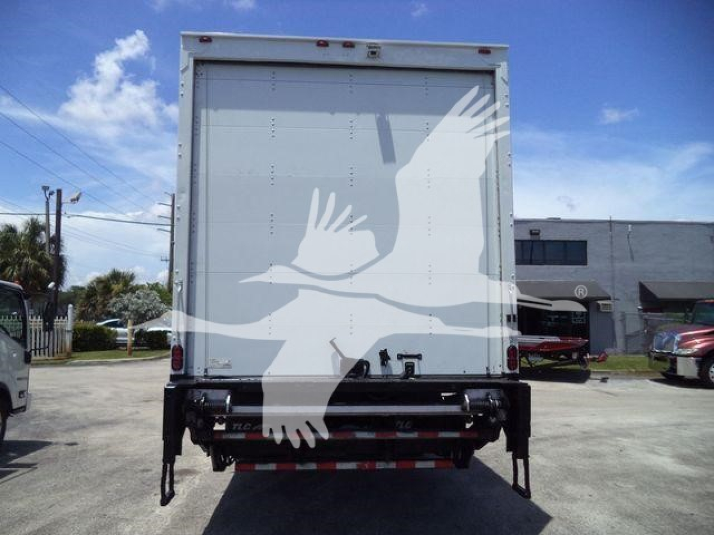 Box truck rear view showing livery with bird graphic on white cargo doors; taillights, bumper, and rear underrun guard visible.