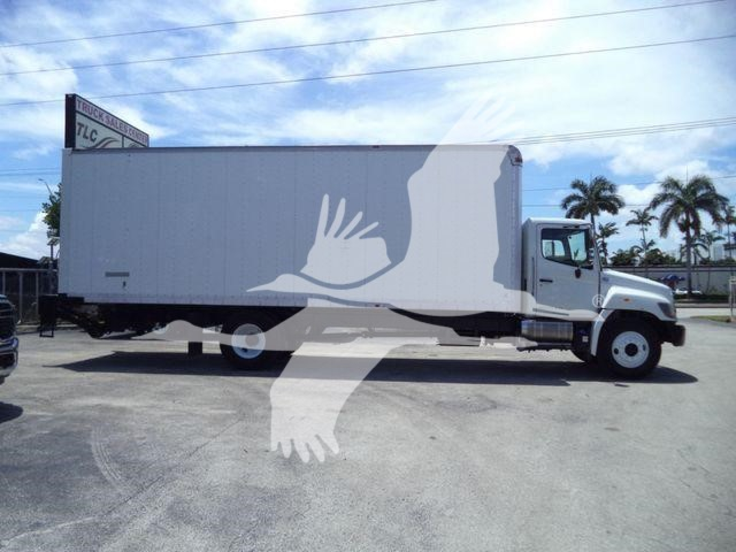 Truck box body side view showing large white container with graphic wings overlapping the cab area.
