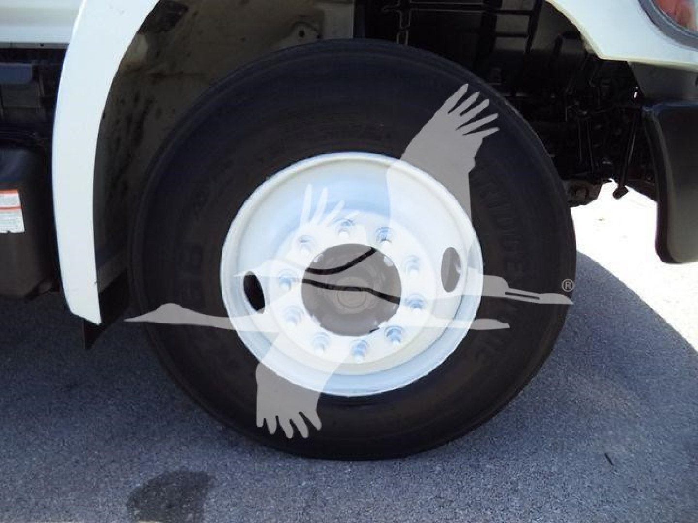 Truck front wheel well of a 2020 Hino 268A showing front tire and white steel rim, with watermark of two flying birds across wheel.