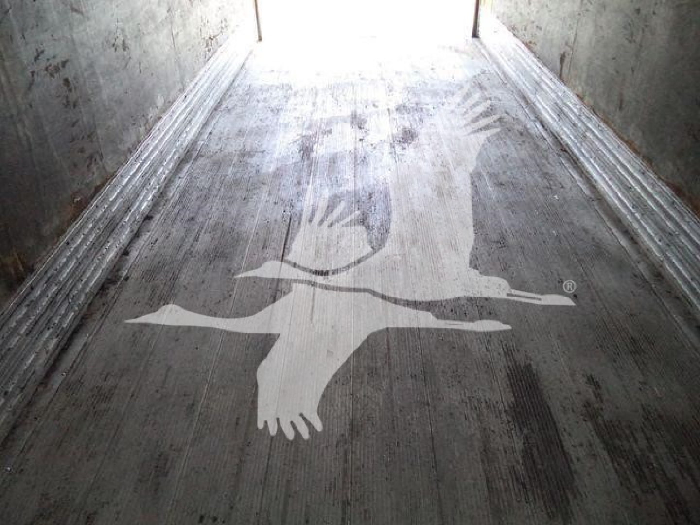 Trailer interior with textured floor and seal/branding showing a silhouette of flying birds and a duck-like logo.