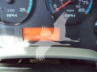 Dashboard showing rpm gauge and mph gauge with orange digital display and watermark of a flying goose overlaid.