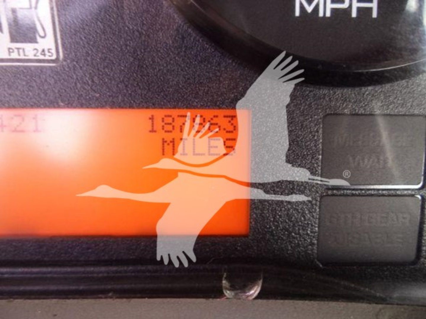 Dashboard of a 2019 International 4300 showing mileage display with orange backlight and speed readout, partial control buttons, and a watermark overlay of a bird.