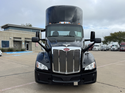 Peterbilt 579 front view with chrome grille and headlights; logo on grille, large hood, cab mirrors visible.
