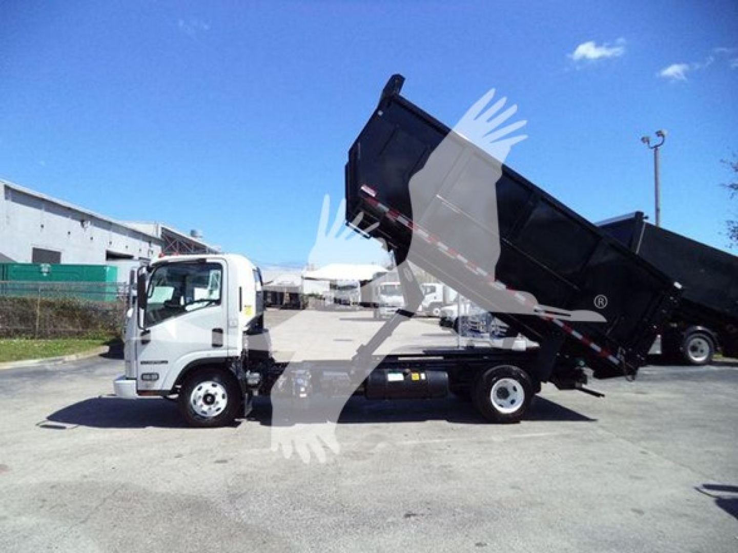 Isuzu NPR dump truck in service position with bed raised showing side profile and cab, white cab and grey bed.