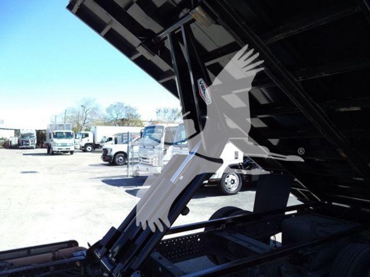 Isuzu NPR dump truck showing hydraulic lift under-bed and surrounding lot of trucks.