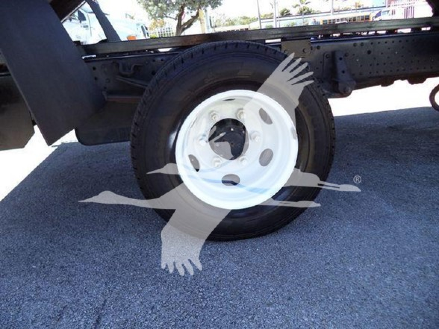 Isuzu NPR chassis showing front wheel and white steel wheel, part of dump truck with frame visible.