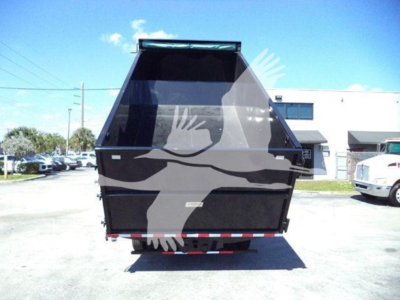 Isuzu NPR dump truck rear view showing dump bed and tailgate with black paint.