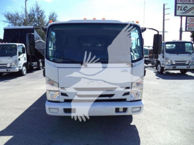 Isuzu NPR dump truck front view showing cab with windshield, headlights, and front bumper.