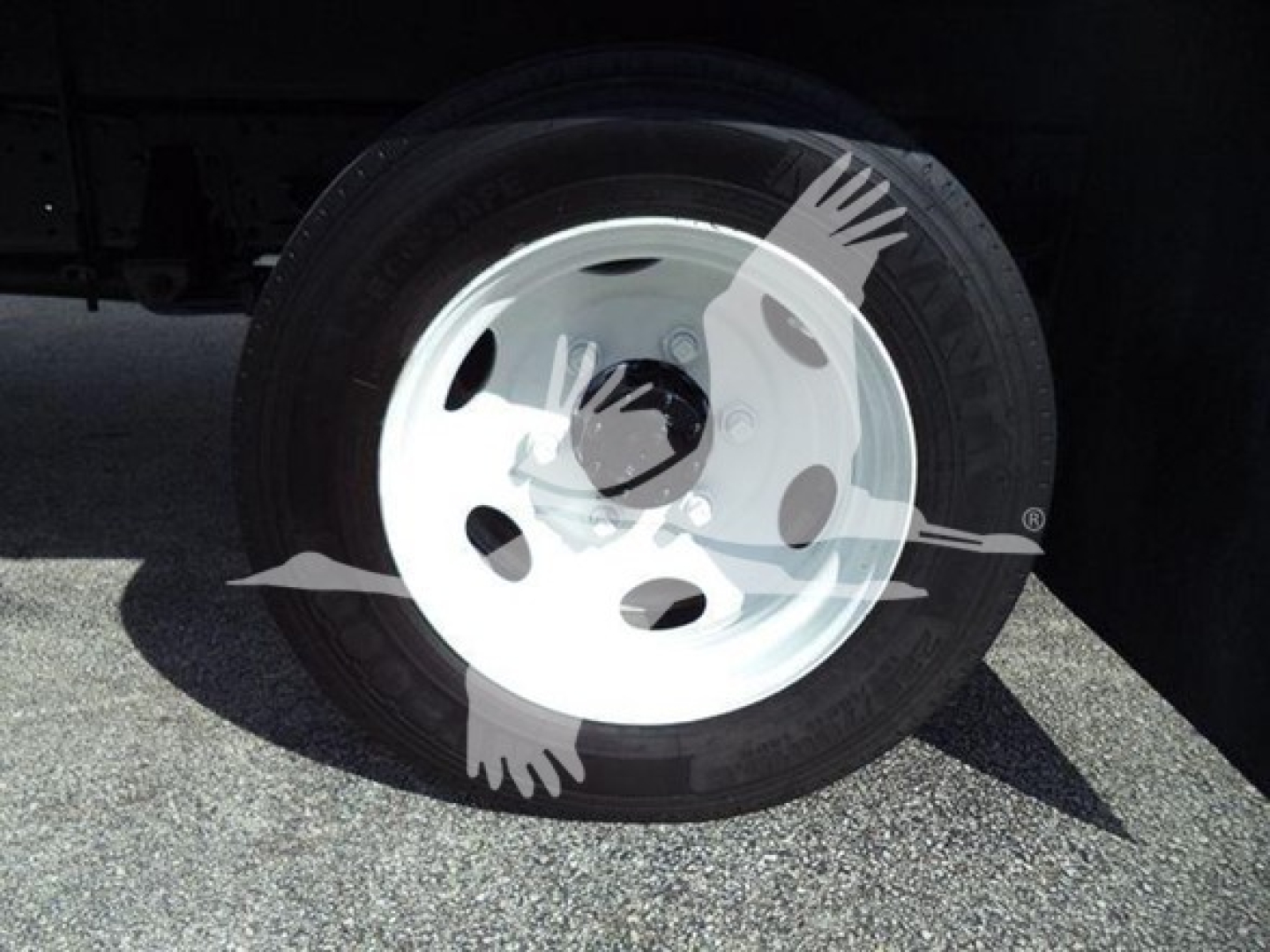 Isuzu truck wheel with white steel rim and black tire visible under a box truck.