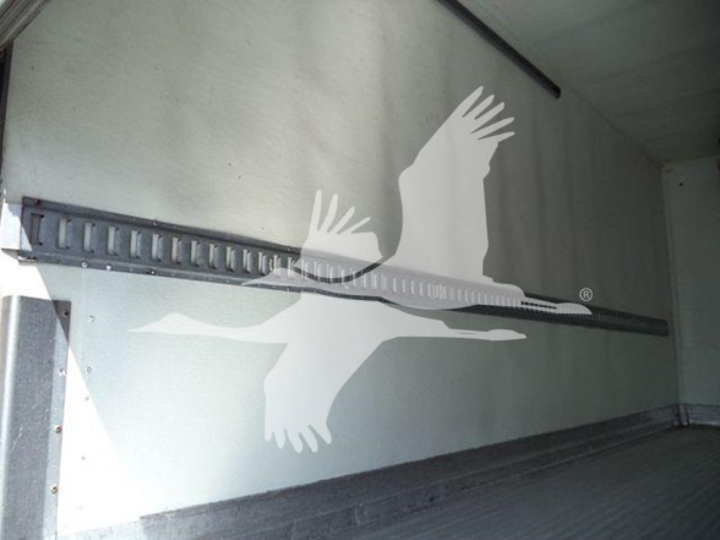 Refrigerated truck interior wall with a horizontal E-track rail; white bird decal on side wall.