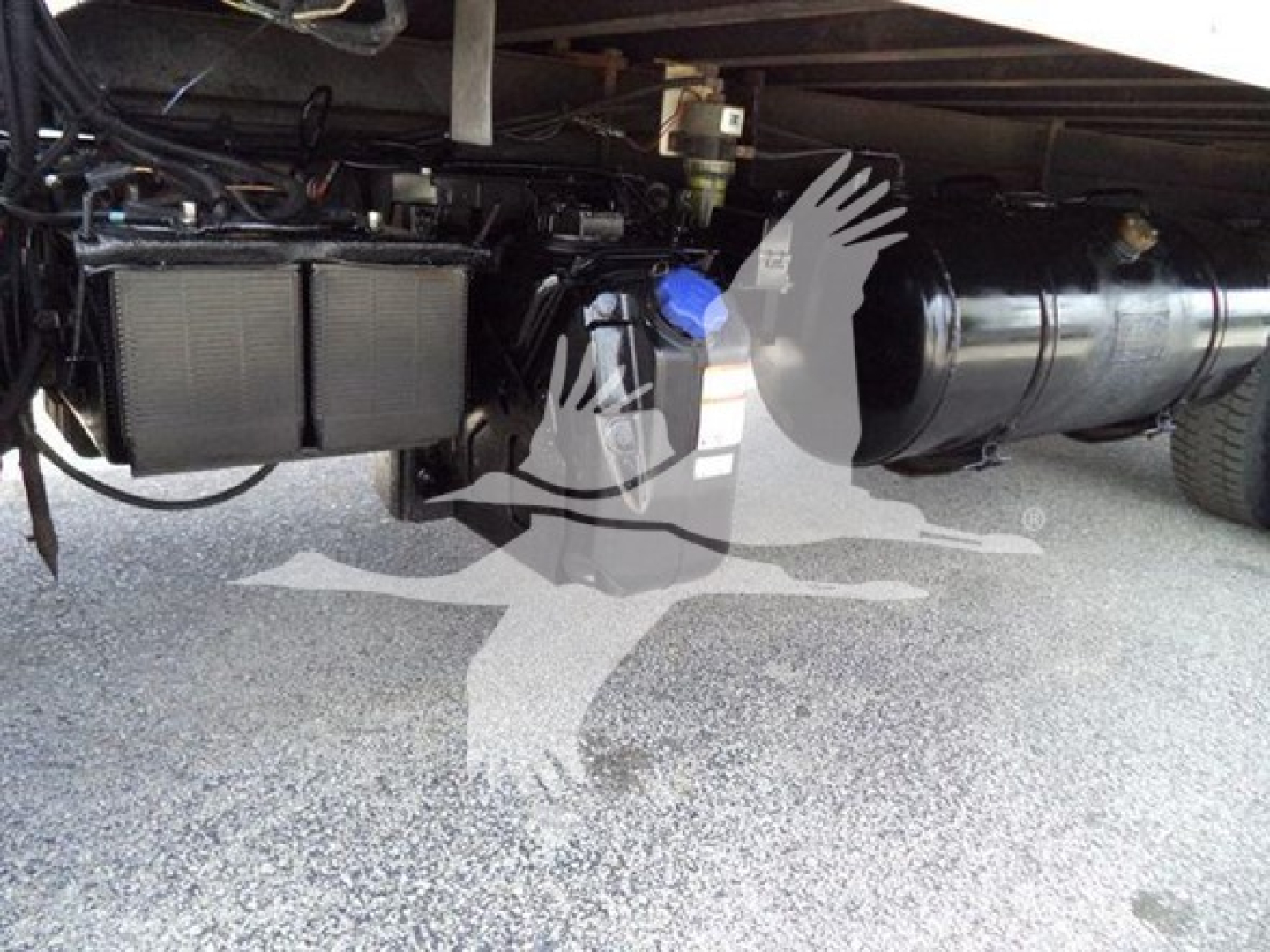 Underbelly view of a 2019 Hino 195 refrigerated truck showing suspension, frame, and equipment with hoses and a blue cap.