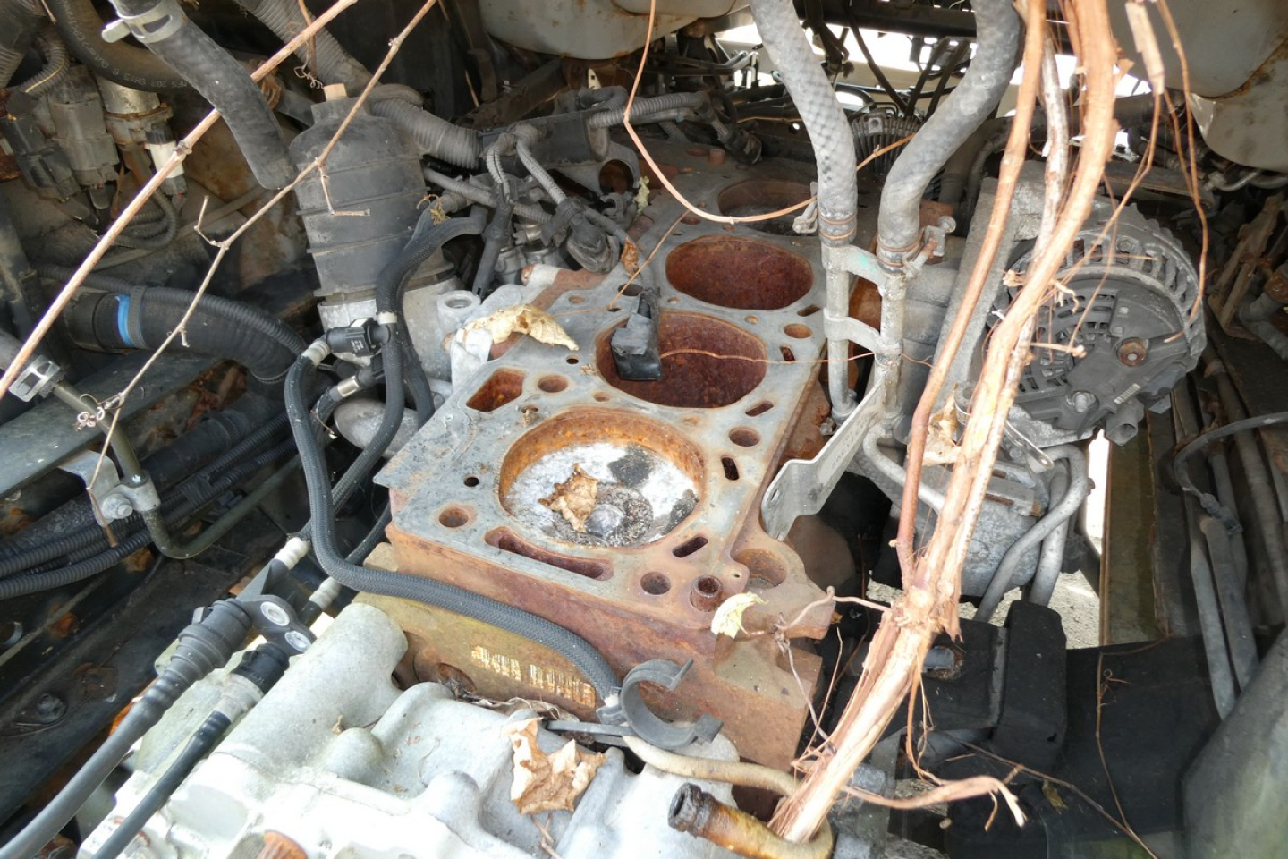 Mitsubishi Fuso FE180 engine bay showing exposed cylinder head area with corroded intake manifold and surrounding hoses.