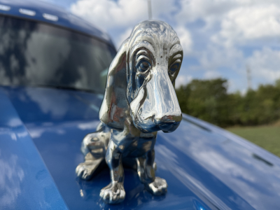 Close-up of a blue Kenworth T680 hood ornament dog statue on the hood, with reflections and windshield in background.