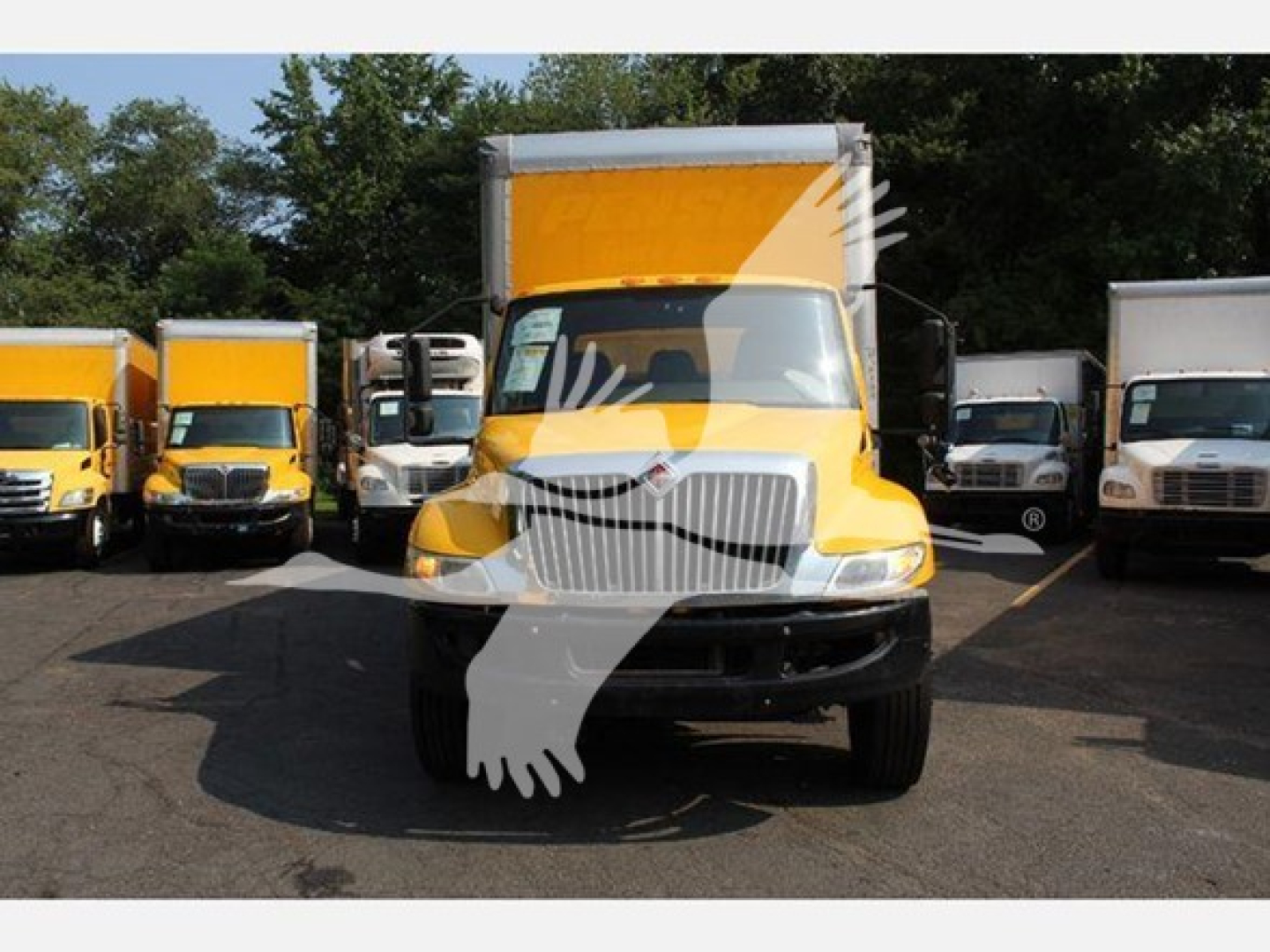 Front view of a yellow box truck with a white grille, flanked by other trucks in a parking lot.
