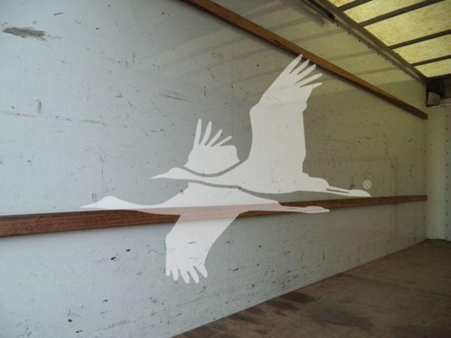 Interior of empty cargo area with white eagle decal on side wall showing two birds in flight.