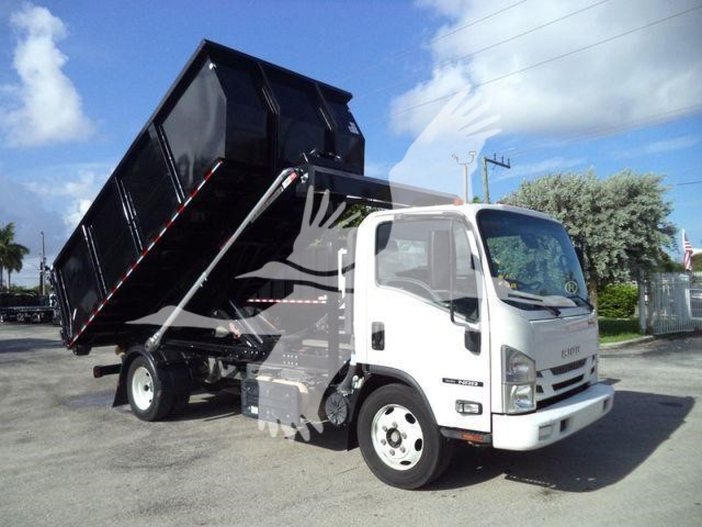 Isuzu NPR/NRR dump truck with raised black dump bed and white cab, medium-duty roll-off body, side view showing front grille and hydraulic lifting mechanism.