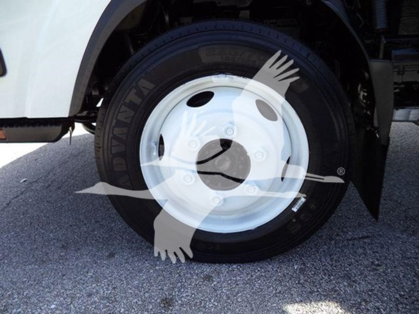 Isuzu NPR HD wheel and tire view with Dynatrail brand tire, front wheel well visible.