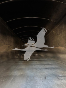 Dump trailer interior showing empty metal cargo space with curved ceiling ribs and light from rear; watermark with two flying birds silhouette overlay.