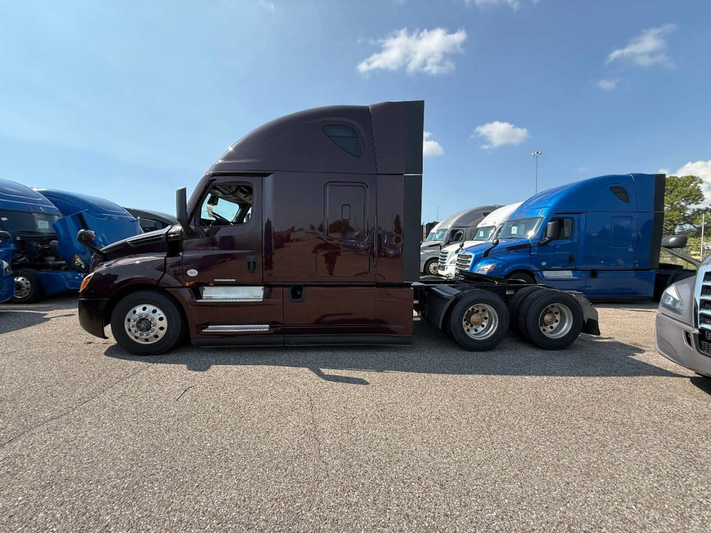 Side view of a brown Freightliner Cascadia 126 tractor with sleeper cab, parked among other trucks.