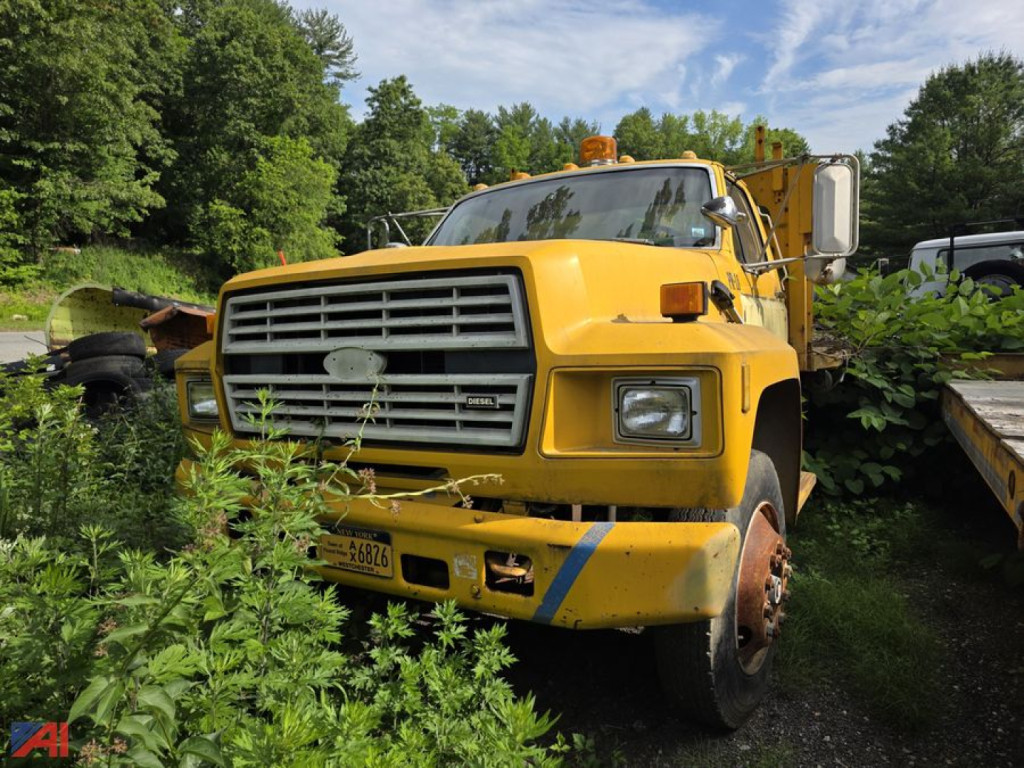 Front view of a yellow Ford F-700 flatbed truck with a large grille, rectangular headlights, and a chipped bumper; overgrown vegetation around the front wheels.